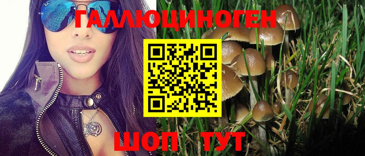 Кольчугино  Галлюциногенные грибы GOLDEN TEACHER  как найти наркотики  Вход с VPN 